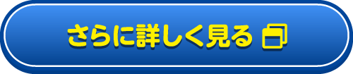 さらに詳しく見る