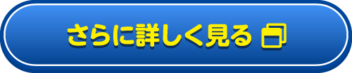 さらに詳しく見る