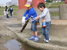 堺地区（大和川河川敷）の模様