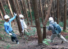 北大阪地域協議会では、連合大阪高齢・退職者の会や青年委員会の参加も得て、箕面市にある「連合大阪の森」の整備作業を行った。写真は、間伐作業を行っている様子