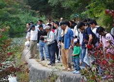 北河内地域協議会では、「府民の森くろんど園地」の清掃活動と自然観察会を行った。くろんど園地にも外来種の植物の繁殖や木々の病気によって生態系の変化が見られることが説明された。