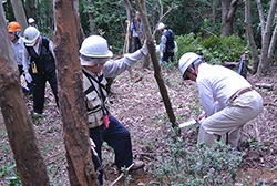 伐採された木は歩道の整備に活用されたり、ベンチに生まれ変わります。