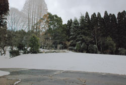 アスファルトに降った雪はすぐに解けるようです