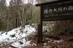 大雪の翌日